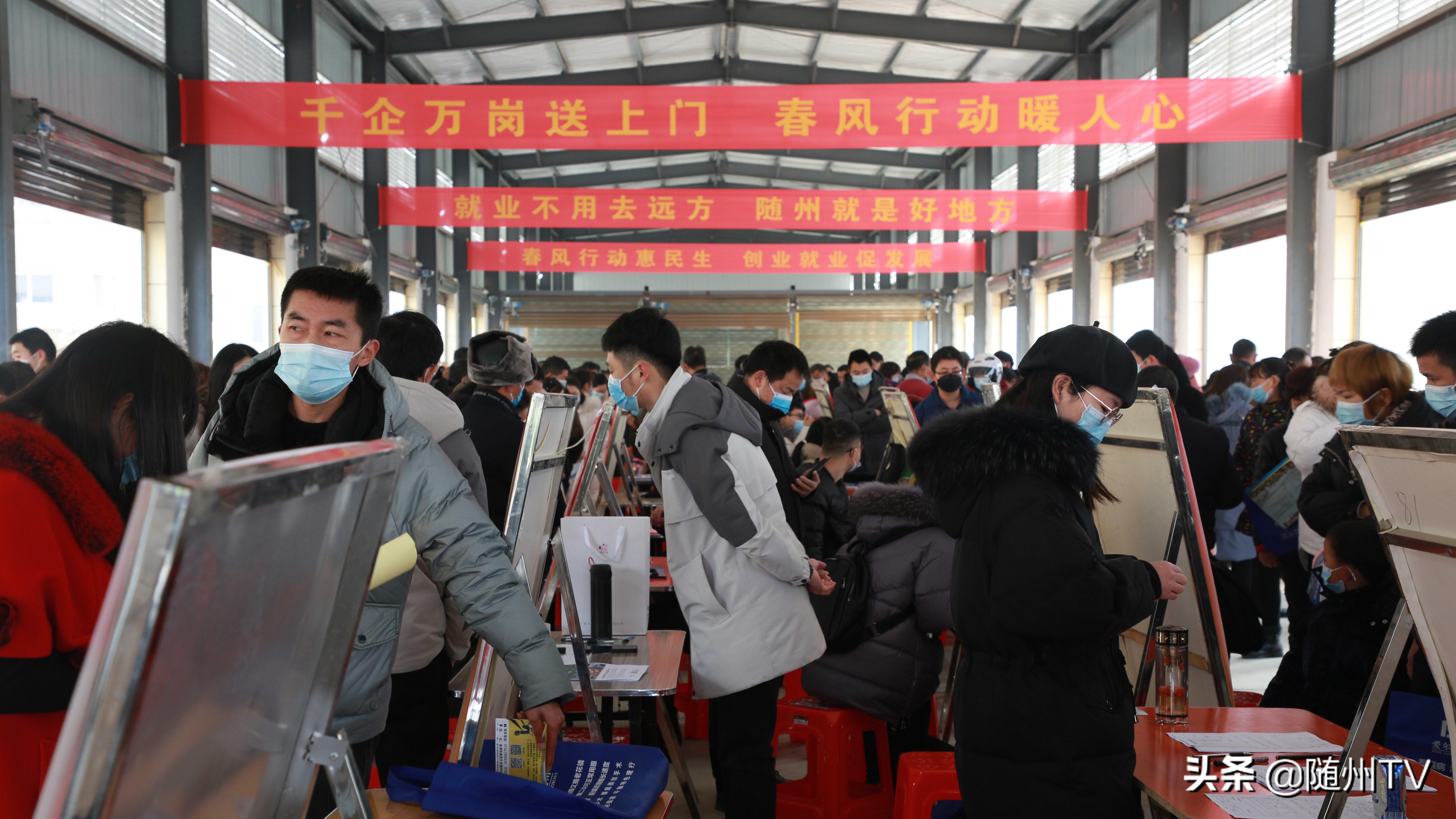 随州人才网最新招聘动态深度解析及求职指南