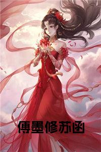 苏蜜傅奕臣系列，情感交织与命运转折的最新章节