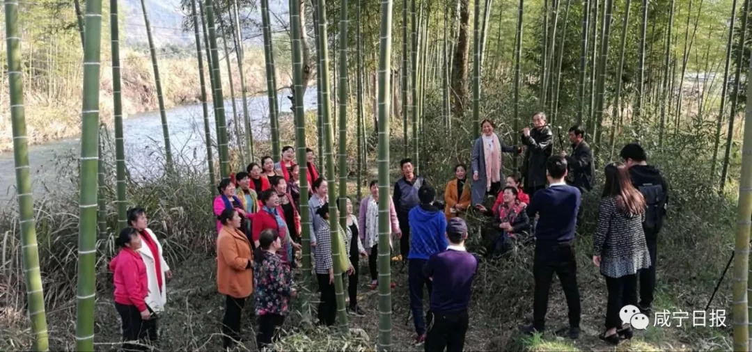 通山最新山歌，传承与创新旋律的交融之美