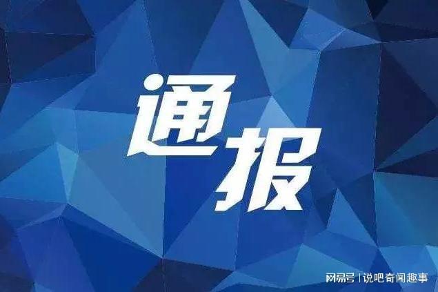 网易引领数字时代变革与发展，最新消息揭秘行业趋势