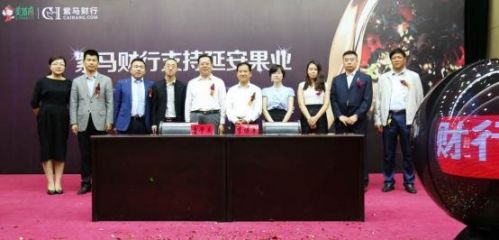 紫马财行最新消息全面解析与概览