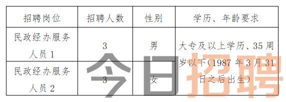 南阳招聘网最新招聘信息概览，最新职位信息一网打尽