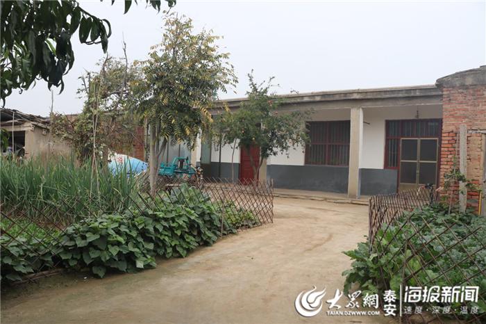 东平最新房源揭秘，探索城市新居住空间的艺术风尚