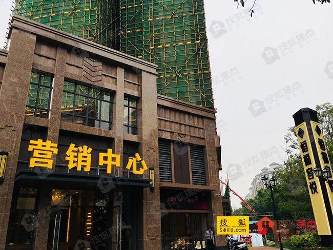 顺德最新房价动态，市场走势、影响因素与未来展望
