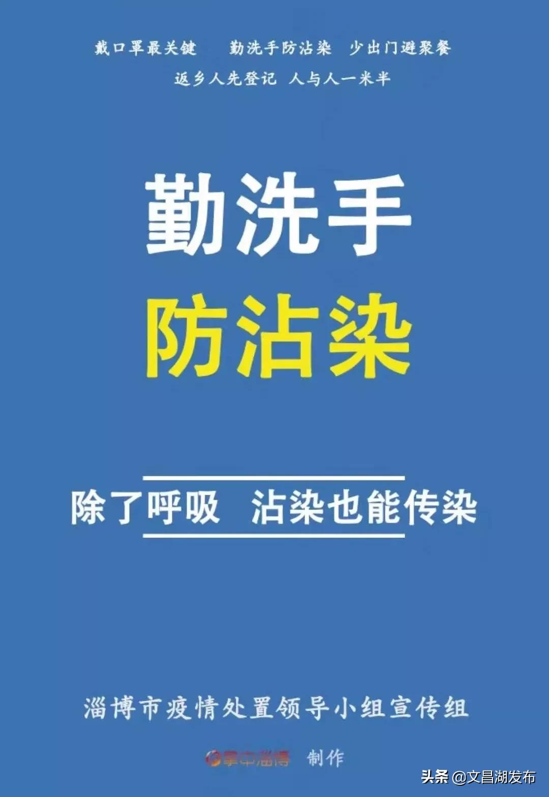 全球病毒感染挑战与应对策略，最新病毒威胁下的全球行动（2020年）