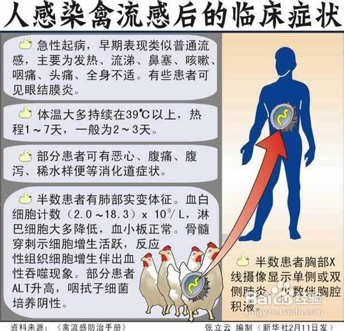 江西禽流感最新动态，全面防控，保障群众健康安全