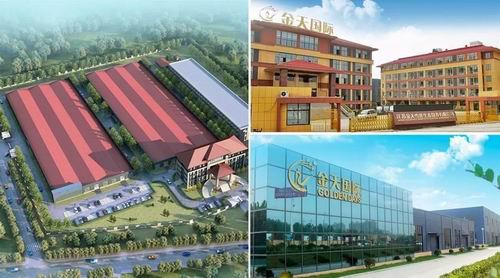 金天国际最新消息全面解析与动态速递
