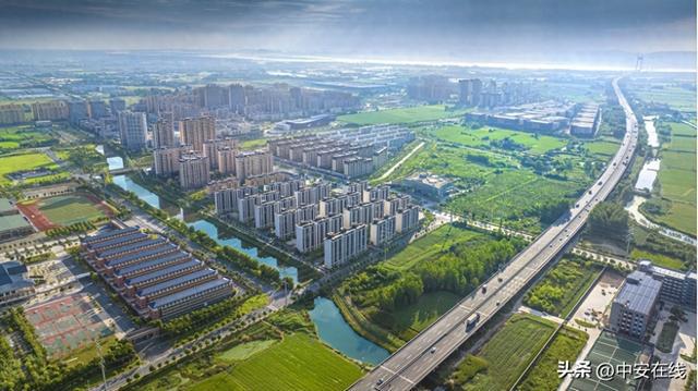 郑蒲港新区最新消息全面解读与分析