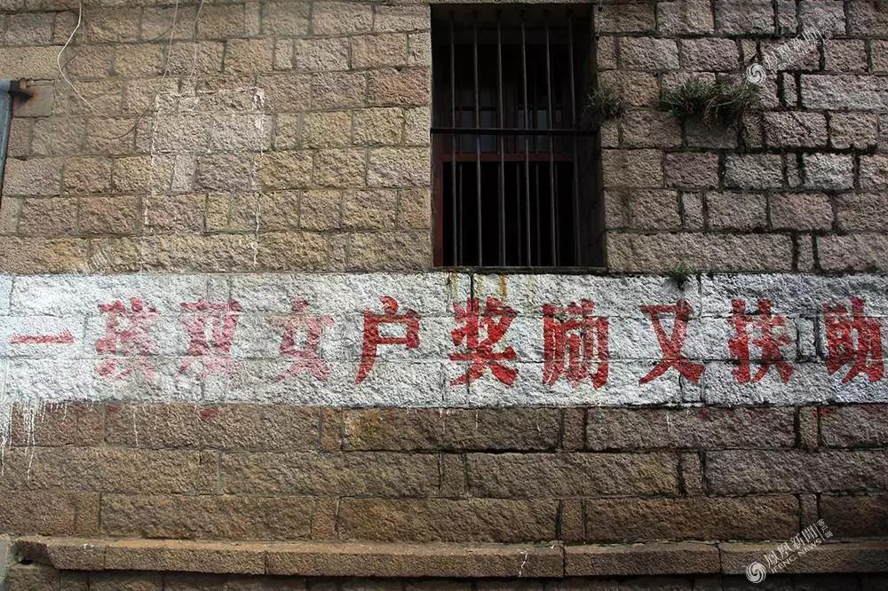 计划生育最新动态更新，今日消息汇总